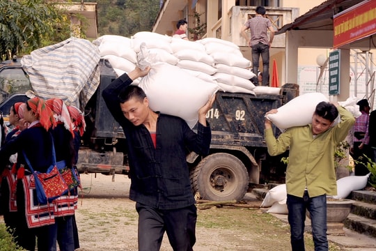 Xuất cấp hơn 1.000 tấn gạo dự trữ quốc gia cho 5 tỉnh hỗ trợ người dân mùa giáp hạt