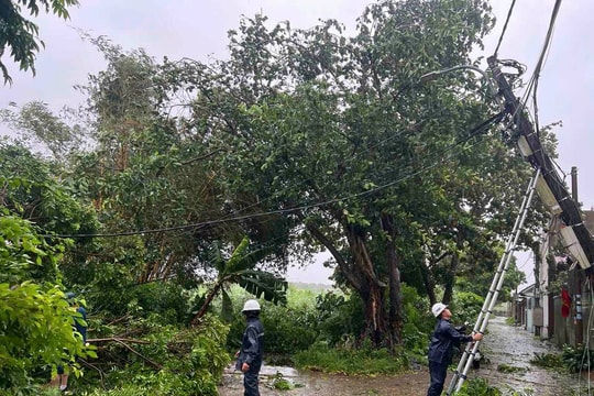 EVNHANOI sẽ đảm bảo việc cung cấp điện trong cơn bão số 3