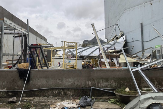 Bảo hiểm Bảo Việt khẩn trương triển khai các phương án bồi thường do bão Yagi