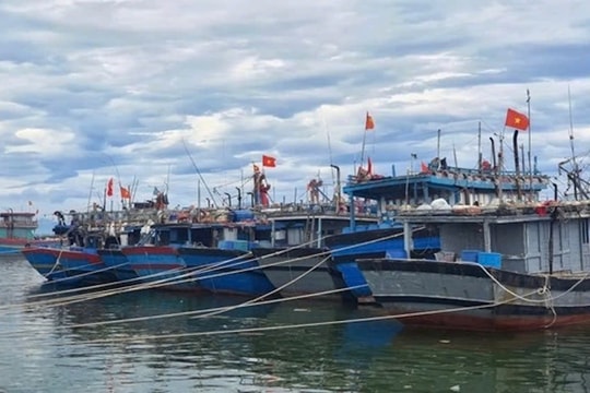Ứng phó với bão số 8: Các địa phương quản lý chặt chẽ tàu thuyền ra khơi