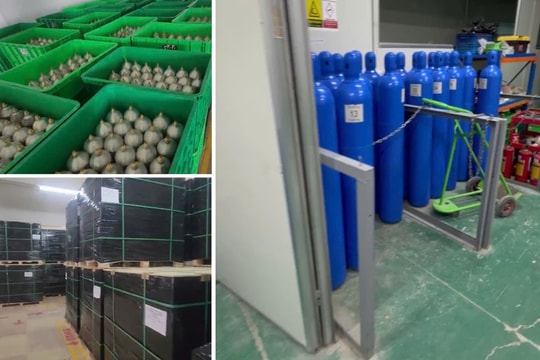 Triệt phá đường dây nhập lậu, tiêu thụ hàng nghìn tấn khí cười (N20)