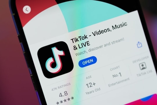 CEO TikTok tìm kiếm lời khuyên từ Elon Musk