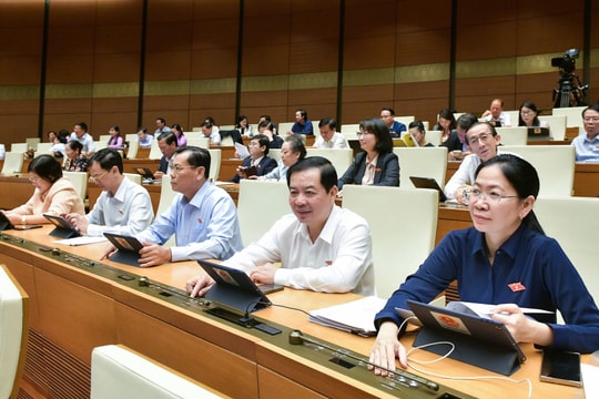 Tổ chức hành nghề công chứng phải bồi thường thiệt hại do lỗi của công chứng viên, nhân viên của mình gây ra