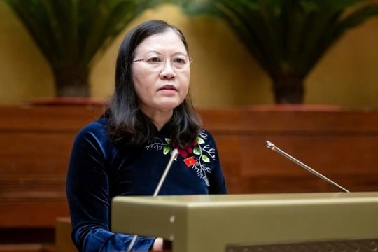 Phát hiện nhiều phương thức, thủ đoạn mới của tội phạm kinh tế, tham nhũng, buôn lậu