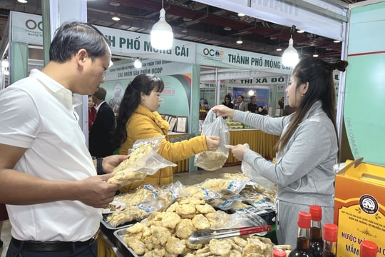 Liên hoan ẩm thực Quảng Ninh 2024 - điểm đến hội tụ tinh hoa ẩm thực