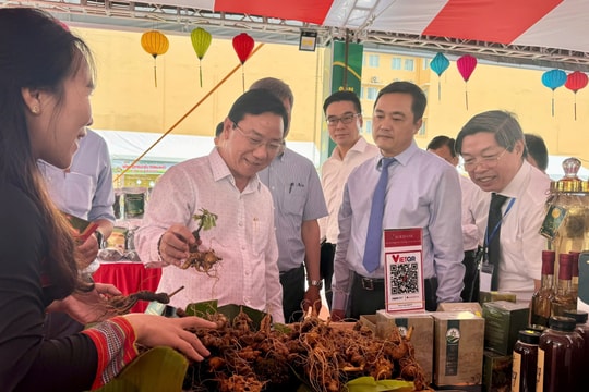 Xúc tiến xuất khẩu sản phẩm OCOP Quảng Nam tại TP HCM