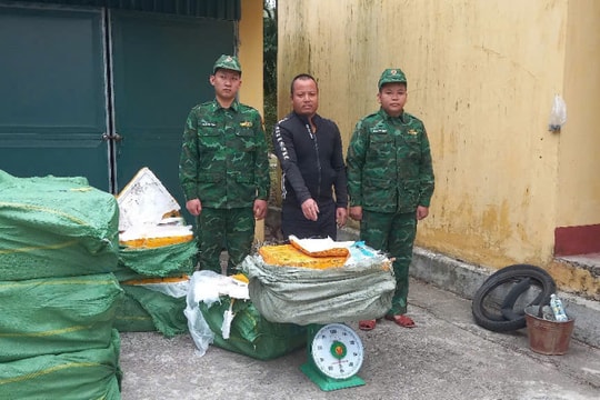 Bắt giữ vụ vận chuyển gần 900kg nầm lợn đông lạnh không rõ nguồn gốc ở Quảng Ninh