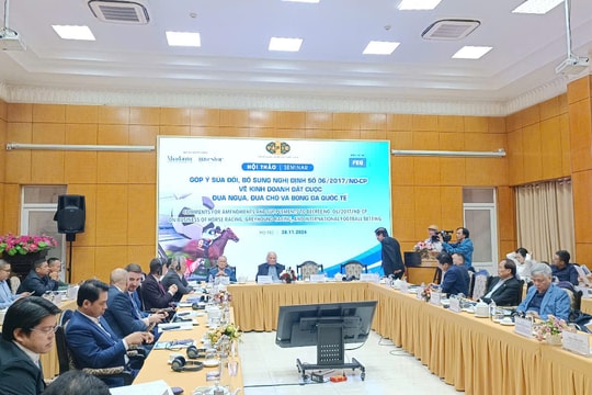 Việt Nam đứng thứ 4 trong 20 quốc gia đang phát triển ở châu Á về cá cược