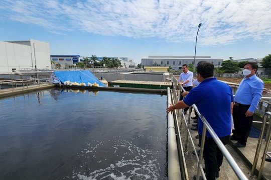 Phát triển kiểm toán môi trường chuyên nghiệp, hiệu quả