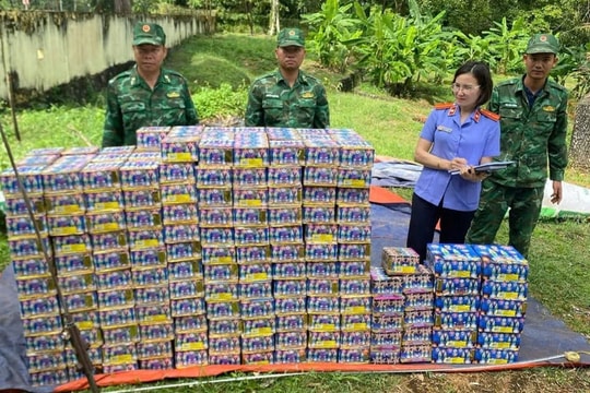 Gia Lai: Phát hiện gần 600 kg pháo nổ trong vườn cà phê