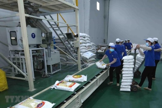 Thua lỗ 30 tỷ trong 9 tháng đầu năm, Trung An (TAR) phải giải thể 2 công ty con