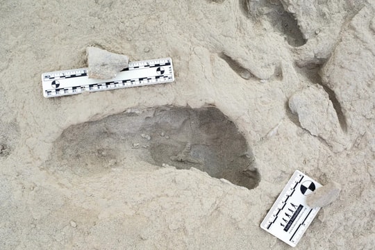 Dấu chân hóa thạch tiết lộ hai loài người cổ đại từng sống cùng nhau