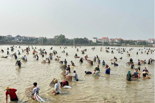Hội bắt cá làng Phú Hậu: Sắc màu văn hóa từ đồng quê Vĩnh Phúc