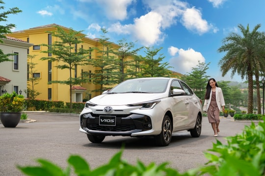 Xe nhập khẩu 'kìm hãm' kết quả kinh doanh tháng 11/2024 của Toyota