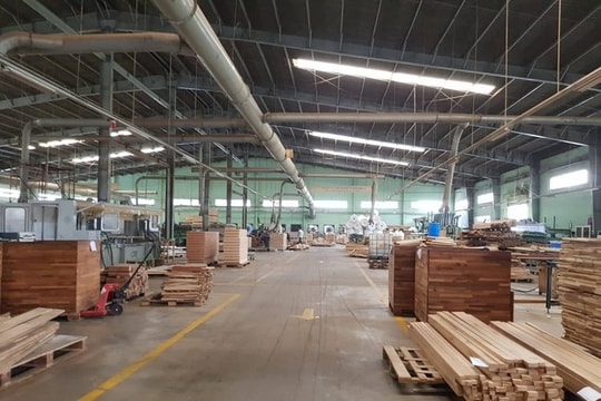 Gỗ Trường Thành (TTF) kinh doanh gặp khó, cổ phiếu mất giá, lãnh đạo tranh thủ thâu tóm cổ phần