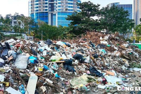 Hà Nội: Bãi rác tự phát khổng lồ gây mất vệ sinh gần trường học, khu dân cư đông đúc