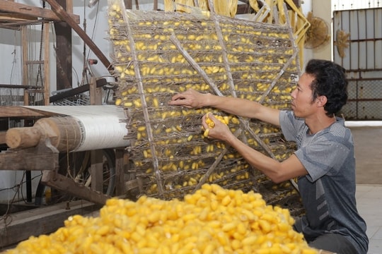 Huyện Mỹ Đức: Sản phẩm OCOP tạo hiệu ứng lan toả tích cực