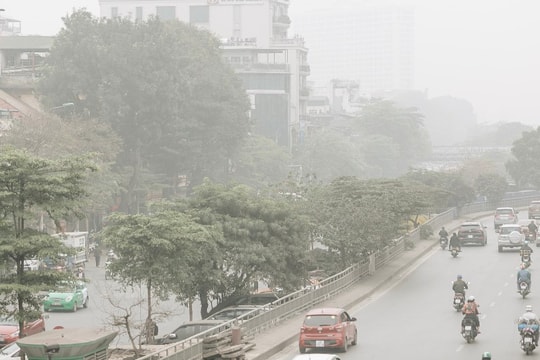 Dự báo thời tiết ngày 4/12: TP HCM sương mù, có mưa to diện rộng