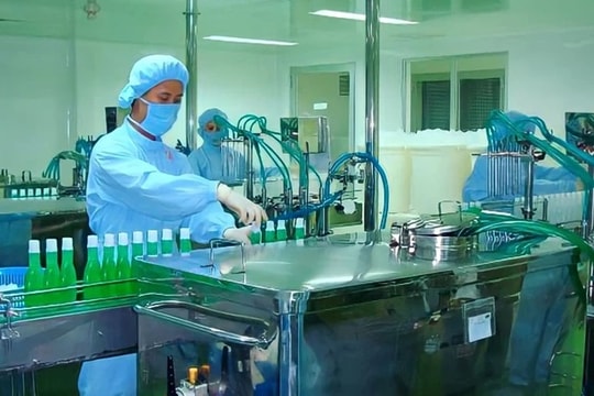 Dược phẩm Dược liệu Pharmedic (PMC) doanh thu sụt giảm vẫn trả cổ tức tỷ lệ 109%