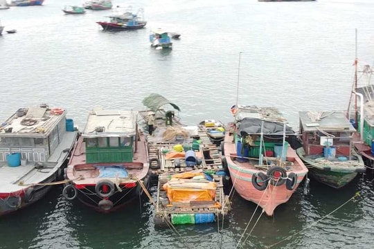 Quảng Ninh: Kiên quyết xử lý dứt điểm tàu cá “3 không”