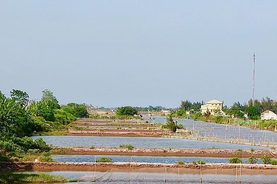 Nam Định: Thu hồi hơn 21.000m2 đất Cồn Xanh do vi phạm