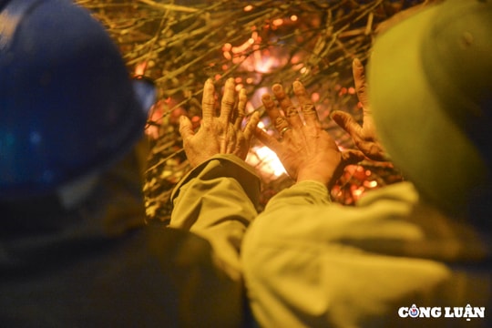 Bộ Nông nghiệp và Phát triển nông thôn lưu ý người dân chủ động ứng phó với gió rét
