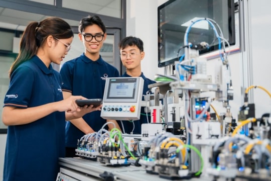 Nghiên cứu bổ sung chính sách miễn, giảm học phí, cấp học bổng cho người học ngành công nghiệp bán dẫn