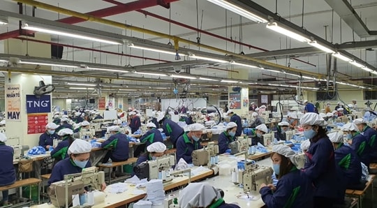 Đầu tư và Thương mại TNG Quý 3 khởi sắc, vẫn phải vay 400 tỷ trái phiếu để trả lương nhân viên