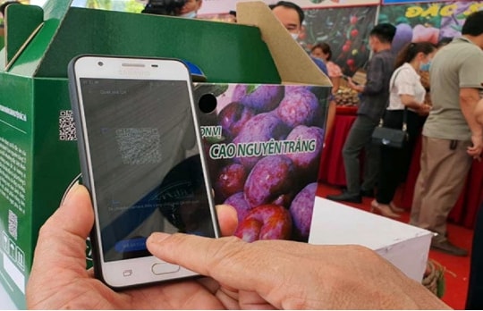 Chuyển đổi số tạo động lực bứt phá cho miền núi Lào Cai trong thời kỳ mới