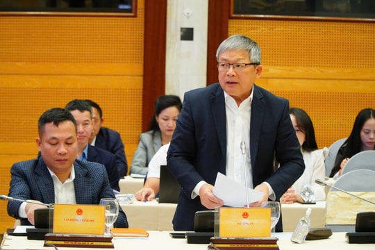 Đại án xảy ra tại Công ty cây xanh Công Minh: Bộ Công an gửi giám định tài sản 413 dự án