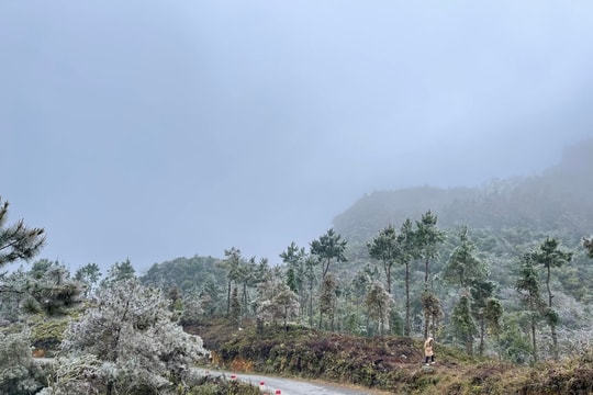 Dự báo thời tiết ngày 9/12: Bắc Bộ mưa rét, vùng núi rét đậm, rét hại