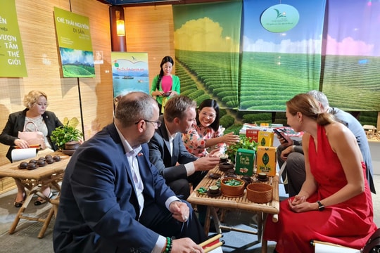 Quảng bá văn hóa Trà và Du lịch Thái Nguyên tại Giải vô dịch Teqball thế giới năm 2024