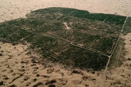 Tại sao đất đai màu mỡ đang biến thành sa mạc và liệu có thể phòng chống?