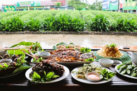 Thái Nguyên sẽ tổ chức Liên hoan Ẩm thực "Trải nghiệm xứ Trà, đậm đà bản sắc" năm 2024 vào trung tuần tháng 12