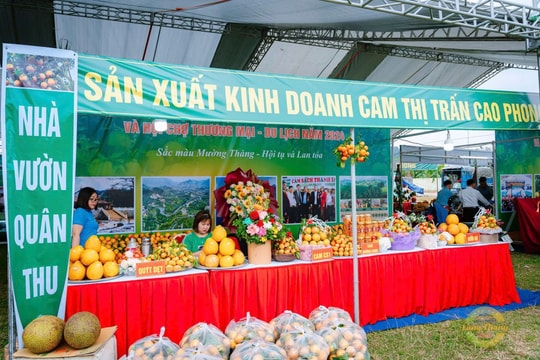 Đẩy mạnh quảng bá thương hiệu Cam Cao Phong tại thị trường trong nước