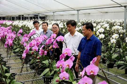 Đan Phượng - điểm sáng xây dựng nông thôn mới của Thủ đô