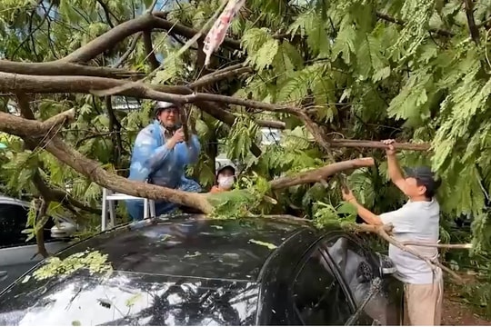 Doanh nghiệp bảo hiểm bồi thường gần 600 tỷ đồng sau bão Yagi