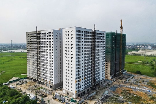 Thực hiện nghiêm quy định dành quỹ đất 20% làm nhà ở xã hội trong các dự án nhà ở, khu đô thị