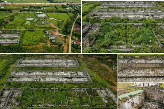 Cần sớm có phương án xử lý trung tâm sản xuất giống chăn nuôi 20 tỷ đồng bỏ hoang ở Hà Tĩnh