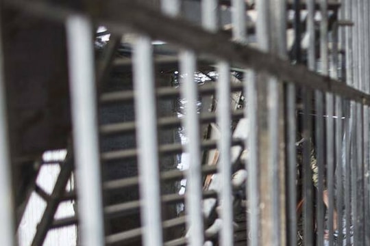 Giới chức Mỹ bắt cựu giám đốc nhà tù Syria vì những tội danh ở quê nhà