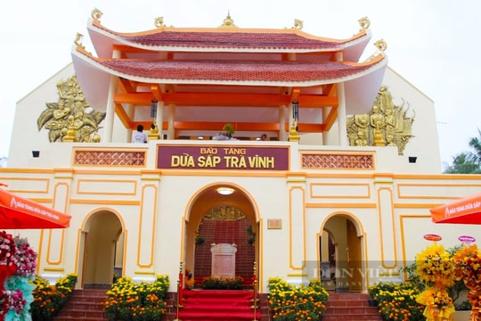 Khánh thành bảo tàng Dừa sáp Trà Vinh
