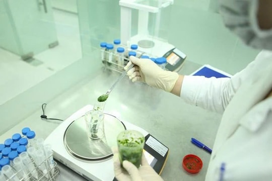 Hòa Bình: Cảnh báo thủ đoạn giả mạo các đoàn thanh tra, kiểm tra an toàn thực phẩm