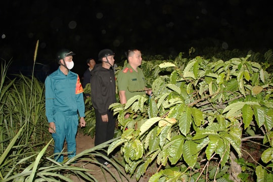 Gia Lai: Cà phê được giá, Công an trắng đêm tuần tra, bảo vệ