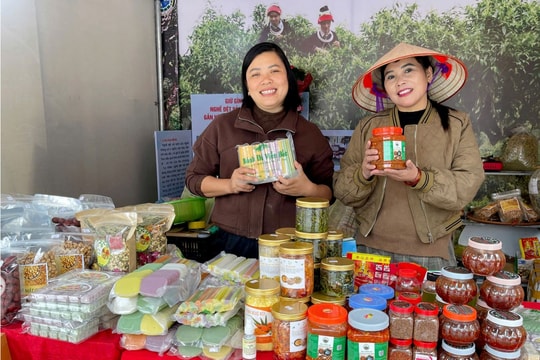 Nhiều địa phưởng đẩy mạnh quảng bá, hỗ trợ tiêu thụ 'đặc sản' những ngày cận Tết Nguyên đán