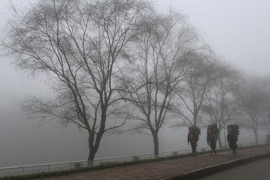 Ngày mai vùng cao Lào Cai nhiệt độ giảm xuống còn 5 độ C, sẽ gây rét hại