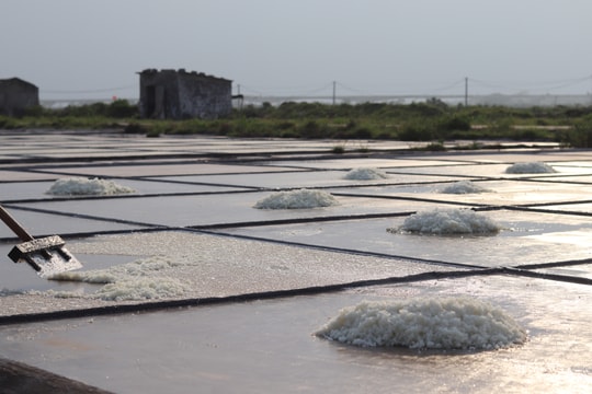 Chuẩn bị diễn ra Festival nghề Muối Việt Nam - Bạc Liêu năm 2025