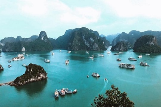 Di sản thiên nhiên thế giới Vịnh Hạ Long: Những con số đầy ấn tượng