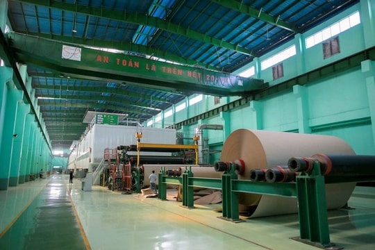 Đông Hải Bến Tre (DHC) kinh doanh giảm sút, cổ đông lớn thoái vốn, bán 3,5 triệu cổ phiếu