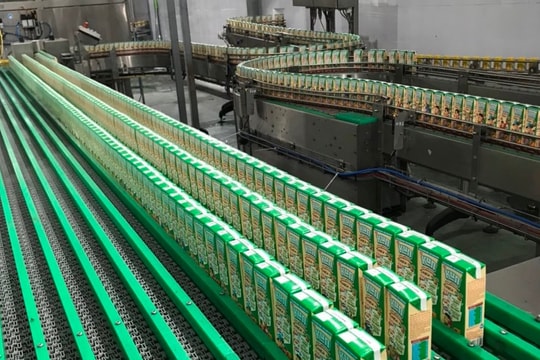 Chỉ vừa đạt đủ chỉ tiêu năm, chủ thương hiệu sữa Kun vẫn mạnh tay chi cổ tức 50%