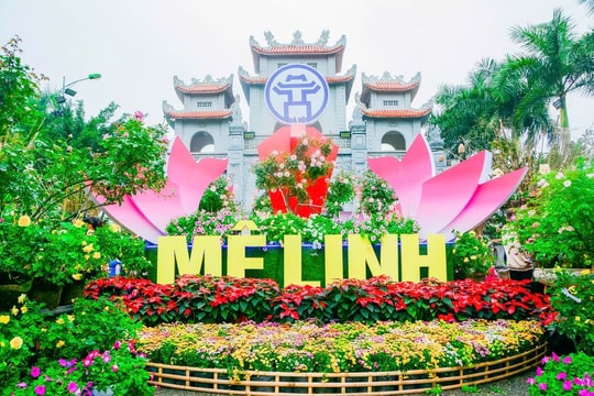 Lễ hội hoa lớn nhất miền Bắc sắp diễn ra
